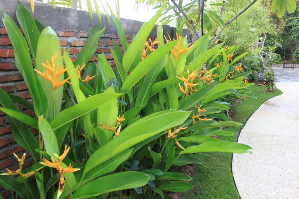 Albany Home Stay Kuta  Eksteriør bilde